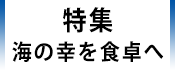 1.広報かみす特集：海の幸を食卓へ