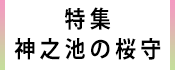 1.広報かみす特集：神之池の桜守