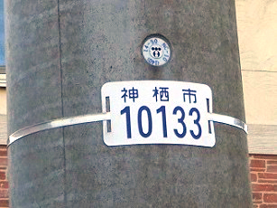 写真：電柱に貼られている防犯灯管理番号