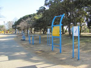 写真：健康遊具