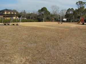 写真：よこせ児童公園外観