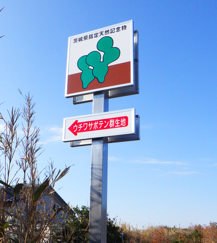 写真:案内看板