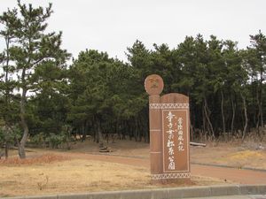 写真：童子女の松原公園