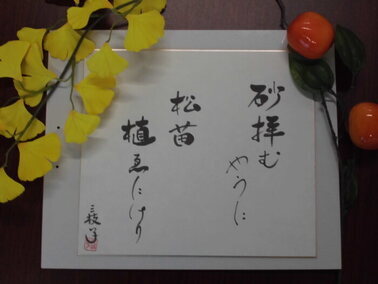 写真：俳句を綴った色紙。「砂拝むやうに松苗植えにけり」