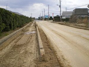 写真：道路の液状化