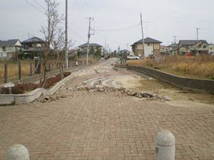 写真：レンガ造りの道路が割れている様子
