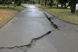 写真：割れた遊歩道