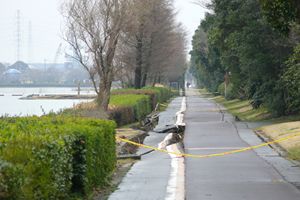 写真：神之池の隆起した遊歩道