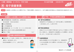 概略図イメージ：母子保健事業の解説