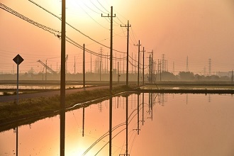 写真：夕焼けの田園と並ぶ電信柱