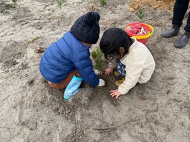 写真:ボランティアで、植樹をする子ども