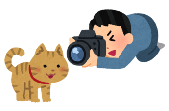 イラスト：猫の写真を撮る人