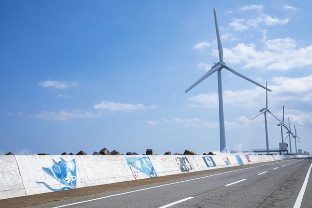 写真：護岸壁に沿って走る市道と数台の風車