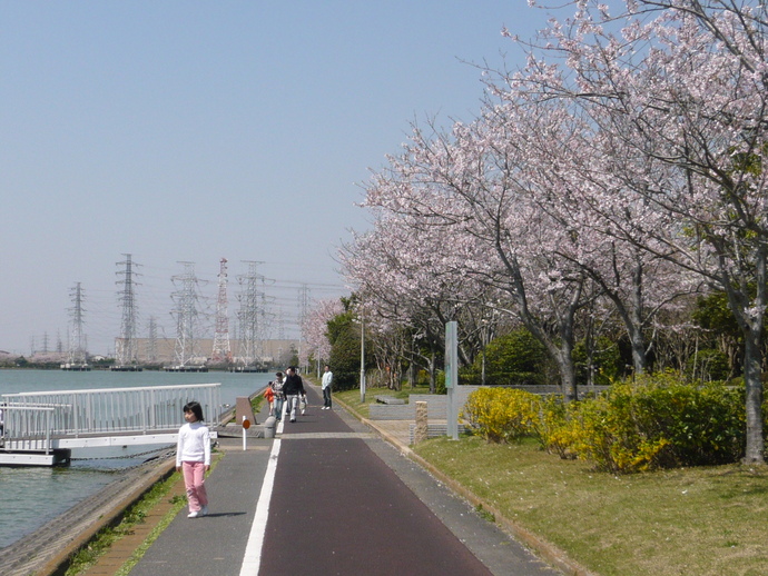 写真：緑地内園路を歩く市民