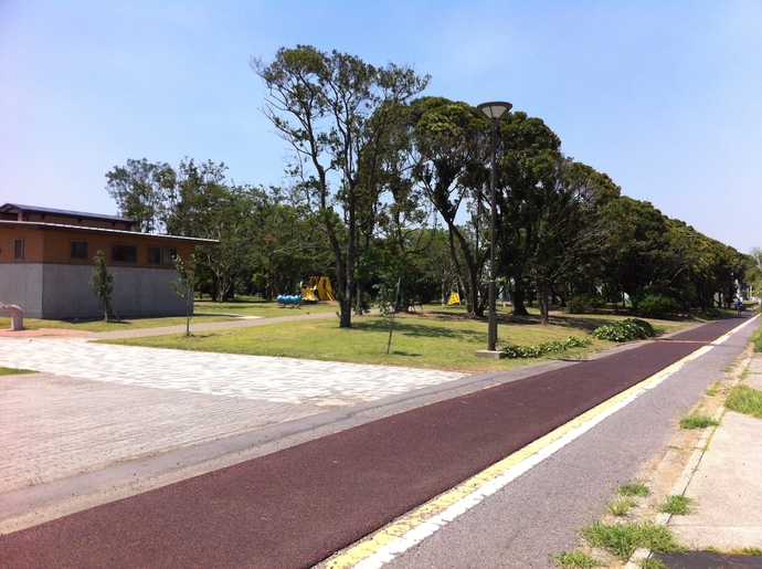 写真：公園内の舗装された園路