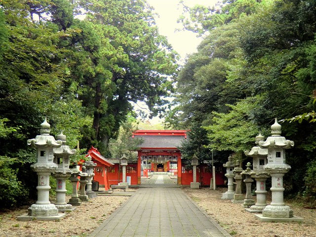 写真：神社の境内参道の正面
