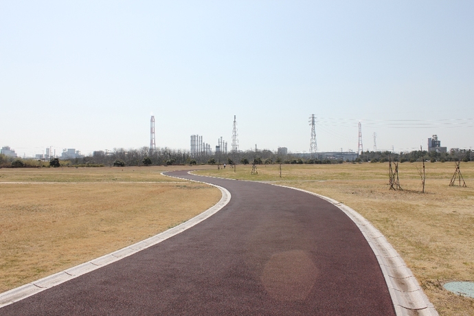 写真：総合公園内の舗装された園路