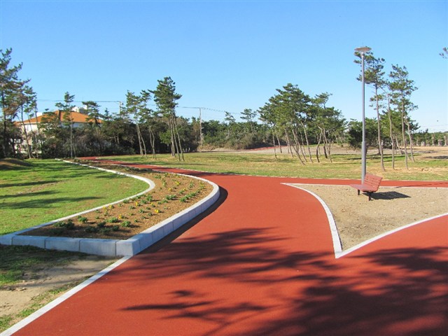 写真：公園の舗装された園道