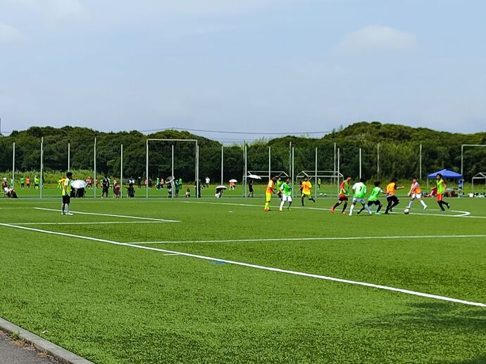 写真：大会の様子