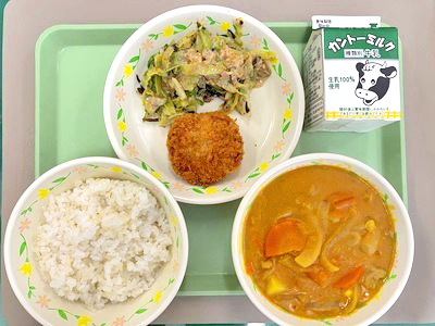 写真：ごはん・牛乳・とんかつ・海と畑のサラダ・バターチキンカレー