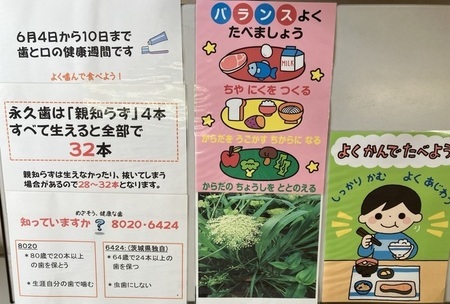 写真：各学校に張り出されている食育指導教材