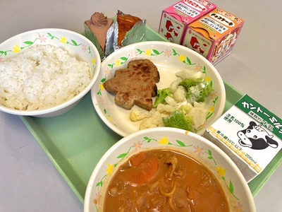 写真:ごはん、牛乳、もみの木ハンバーグ、ロマネスコとカリフラワーのサラダ、ハヤシライスソース、チョコケーキ、アレルギー対応チョコケーキ・いちごケーキ