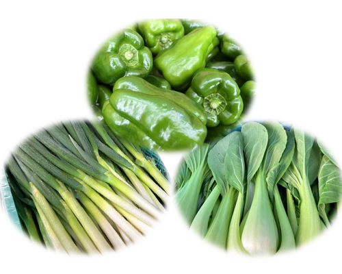 写真：提供いただいた食材。ピーマン・長ネギ・チンゲンサイ