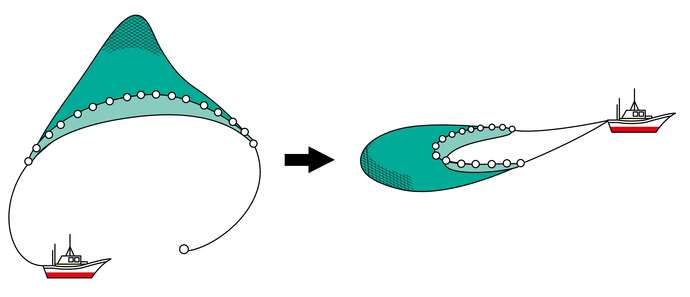 イラスト：船曳網漁業イメージ図