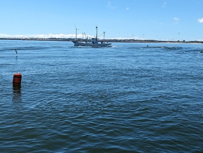 写真：漁船が魚群を囲むように網を投げ入れる様子