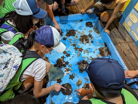 写真:世界一ちっちゃな水族館で海の生物とふれあう子どもたち