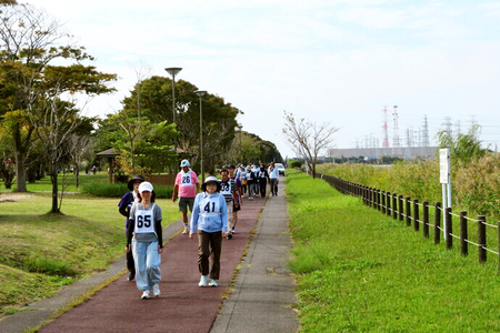 写真：神之池の遊歩道をウォーキングする参加者