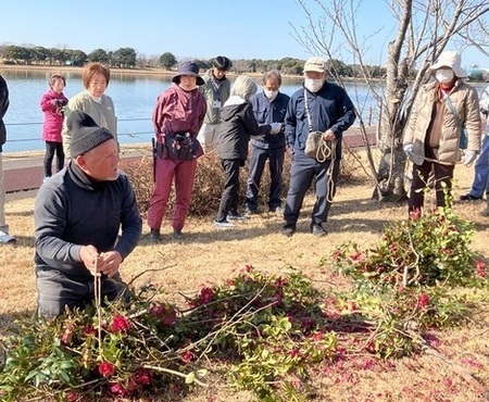 写真：剪定作業で出た枝を縛ってまとめているようす