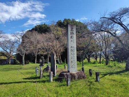 写真:桜川の天然記念物指定記念碑