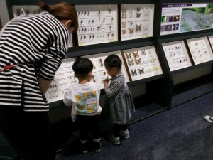 写真：歴史民俗資料館の館内で参加者が見学している様子