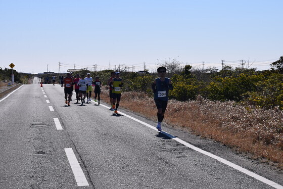 写真：シーサイド道路を走るハーフマラソンの参加者