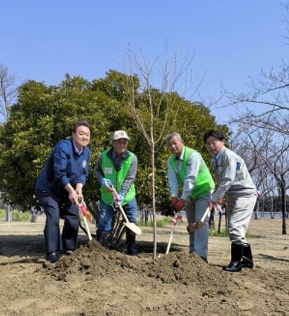 写真：桜守り植樹のようす。市長と他3名