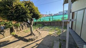 写真:樹木が植えられた庭