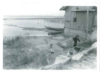 写真:昭和36年に撮影された、神之池の岸辺で遊ぶ子どもたち