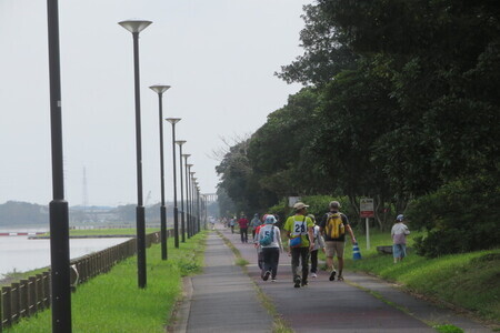 写真：神之池の遊歩道をウォーキングする参加者たち