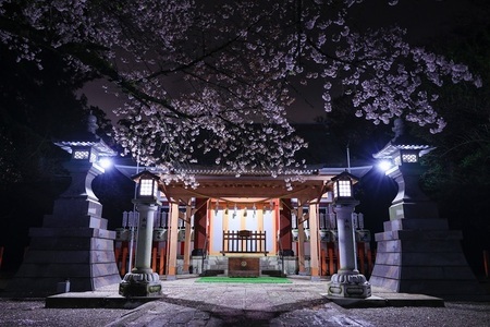 画像:「神栖の四季」部門の最優秀賞の作品