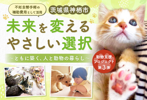 写真:人とふれあう子猫と子犬。未来を変えるやさしい選択 ともに築く、人と動物の暮らし。不妊去勢手術の補助費用として活用